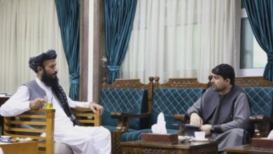 photo 2026 04 29 09 36 55