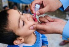 photo 2026 04 30 09 28 53