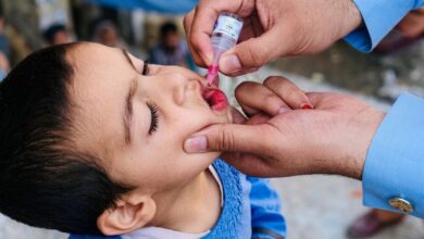 photo 2026 04 30 09 28 53