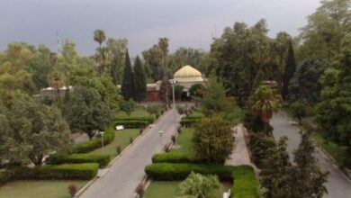 unnamed file 1 780x470 1