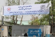 whatsapp image 2024 11 04 at 2.29.51 pm 0