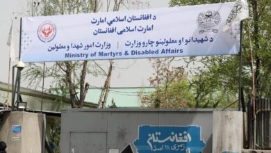 whatsapp image 2024 11 04 at 2.29.51 pm 0