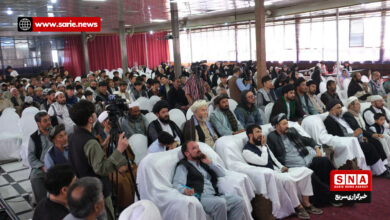 نمایشگاه جزیره گناه در کابل: امریکا هرجا پا گذاشته، بدبختی و جنگ داخلی آورده است 2 13