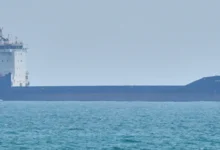 3232323232 e1777879504597