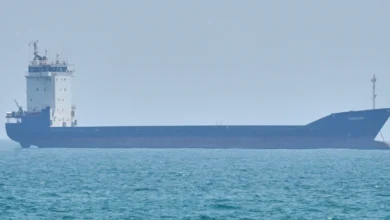3232323232 e1777879504597