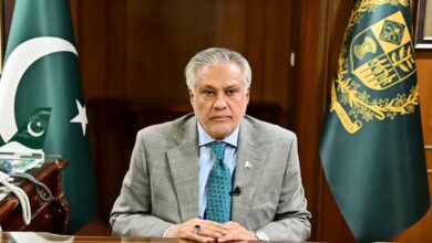اسحاق دار: بدون حل مسئله کشمیر، صلح در جنوب آسیا دستیافتنی نیست 8 666666