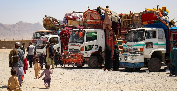 Untitled 1 79
