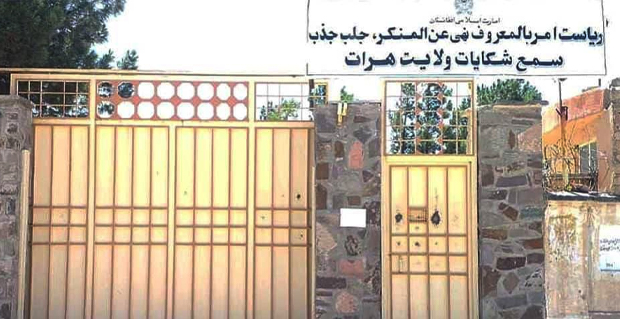 جلوگیری از نکاح یک دختر شش ساله در ولایت هرات 1 Untitled 2 100