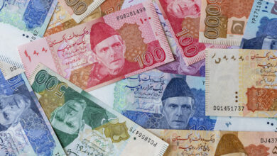 د انرژۍ د بیو لوړېدو پاکستان له اقتصادي بحران سره مخ کړی 6 bigstock Pakistan Currency Banknotes Se 453341533 1e77001c 0ec1