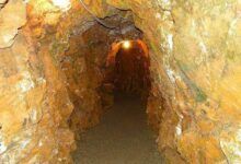 reed gold mine state