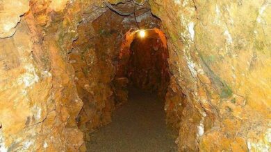 reed gold mine state