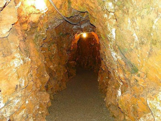 reed gold mine state