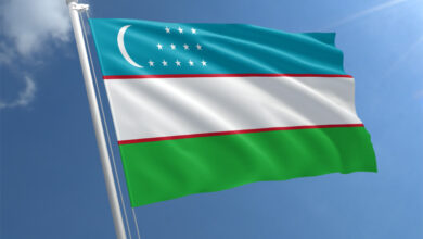 uzbekistan flag std