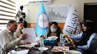 تأکید افغانستان بر معیشت بدیل برای دهقانان در دیدار با نماینده سازمان ملل 8 Untitled 1 639