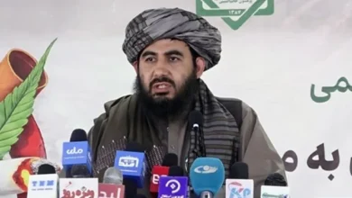 وزارت داخله: مواد مخدر صنعتی از کشورهای همسایه به افغانستان قاچاق میشود 1 Untitled 1 Recovered Recovered 1