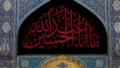 روز عاشورا چه اعمالی دارد؟ 2 کربلادرآستانهمحرم1405