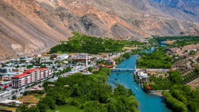 افزایش حاصلات زراعتی در پنجشیر 1 016ffaa0 3527 420e addc dd381c9e418d