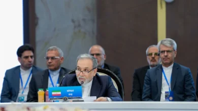 عراقچی: همکاری منطقهای، کلید تأمین امنیت و ثبات افغانستان است 2 172998787