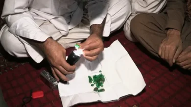 2014521101220562734 20