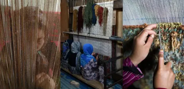 دو مرکز تولید و پروسس قالین در جوزجان افتتاح شد 1 99