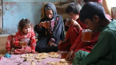 کاهش توجه جهانی به افغانستان؛ تأکید اوچا بر تداوم بحران انسانی 10 Untitled 1 104