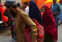 بازگشت بیش از ۳۷۰۰ مهاجر به کشور در یک روز 2 Untitled 1 182