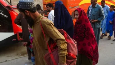 بازگشت بیش از ۳۷۰۰ مهاجر به کشور در یک روز 1 Untitled 1 182