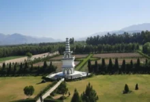 اجساد دو مرد با دستوپای بسته در جلالآباد پیدا شد 2 Untitled 1 205