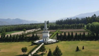 اجساد دو مرد با دستوپای بسته در جلالآباد پیدا شد 4 Untitled 1 205
