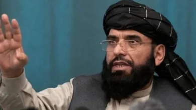 سهیل شاهین: رئیس جدید یوناما واقعیتهای افغانستان را به جهان منتقل کند 6 Untitled 1 282