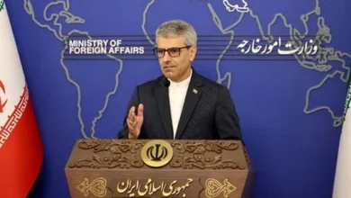 بقائی: ایران در برابر قانونشکنی و یاغیگری قاطعانه ایستاده است 9 Untitled 1 355