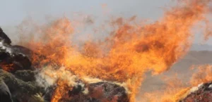 نابودی صدها کیلوگرام مواد مخدر و یک کارخانه تولید شراب