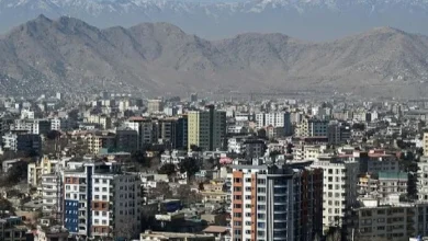 بیش از ۲۵ هزار جریب زمین در کابل امارتی تثبیت شد 10 Untitled 1 368