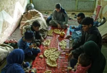 هشدار بانک جهانی درباره آینده امنیت غذایی و آب افغانستان 2 Untitled 1 94