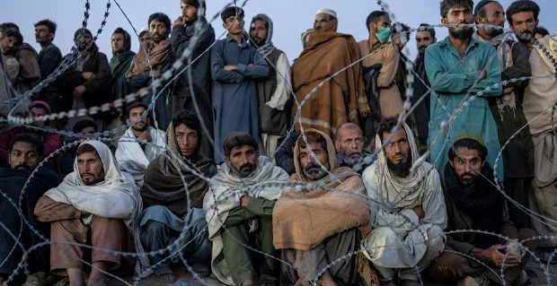 آغاز عملیات تازه پاکستان برای شناسایی و اخراج مهاجران افغانستانی 1 Untitled 1 Recovered 75