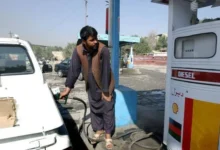 images 8