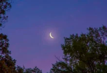 فراخوان ستره محکمه برای مشاهده هلال ماه صفر در سراسر کشور 2 istockphoto 968372742 612x612 1