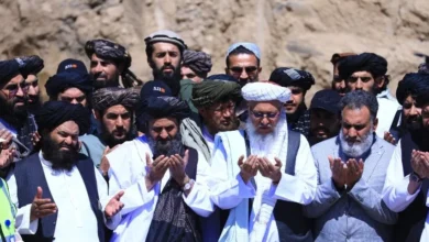 آغاز ساخت دومین کارخانه بزرگ سمنت جبلالسراج 10 photo 2026 07 09 13 10 58 e1783592207849