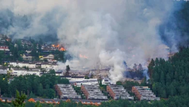 آتشسوزی گسترده در ناروی؛ بیش از ۱۰۰ خانه ویران شد 1 skynews fire in norway 100 homes destroyed 7300471