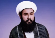 علامه سید اسماعیل بلخی؛ متفکر ژرف اندیش و سیاست مدار مصلح 2 بلخی