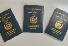 ففففففففففففف