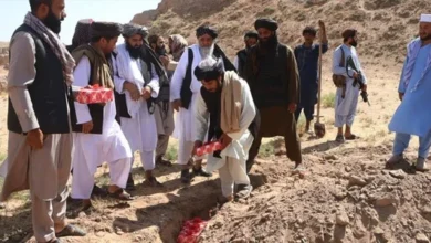 یی 1