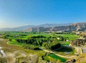 یک جوان در ننگرهار خودکشی کرد