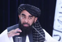 صدور جواز برای ۸۶ مؤسسه و توزیع دو میلیون تذکره در یک سال 2 Untitled 1 227
