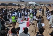 کار ساخت کارخانه بزرگ سمنت در هرات آغاز شد 2 Untitled 1 230