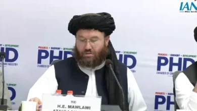 وزیر زراعت: در پنج سال گذشته ۱۱۰ میلیون نهال غرس شده است 1 Untitled 1 287