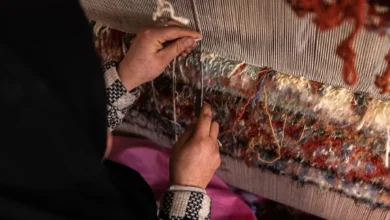 ایجاد کمپ و فابریکه قالینبافی برای عودت کنندگان در کابل 3 Untitled 1 305