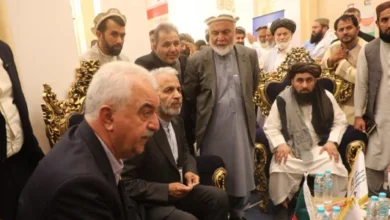 سرمایهگذاران هند و ایران برای همکاری در بخش زراعت افغانستان اعلام آمادگی کردند 1 Untitled 1 319
