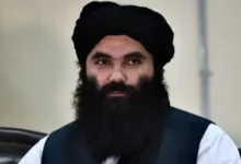 حقانی: شادی پیروزی افغانستان بدون آزادی قدس کامل نیست 3 Untitled 1 401