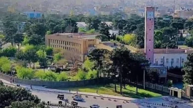 سایت 100